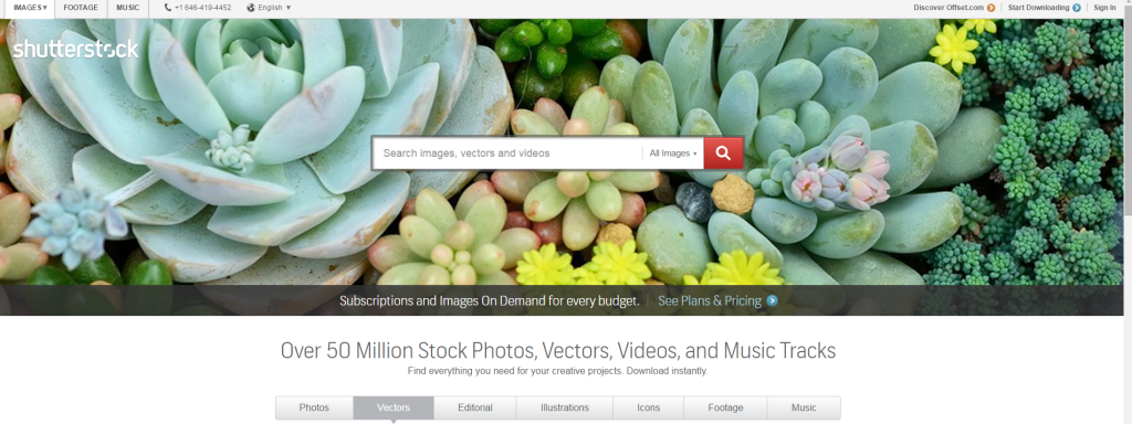 shutterstock